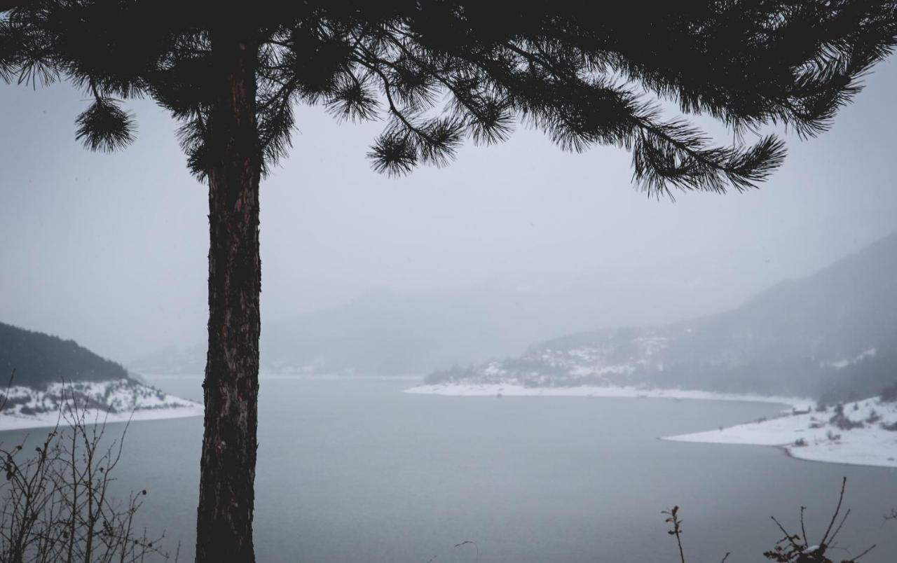 Nemir Zavojsko Jezero * Pirot